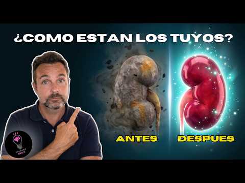 4 alimentos para limpiar los riñones de forma natural